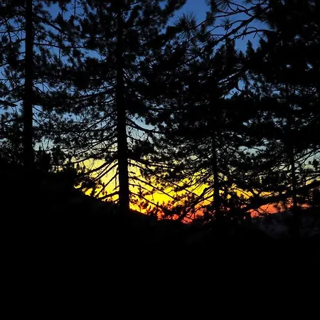 Lejlighed Nevina *