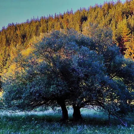 Lejlighed Nevina *