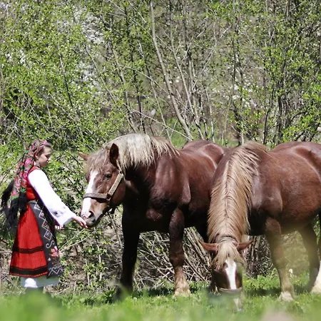 Lejlighed Nevina