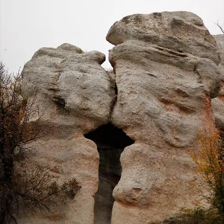 Nevina *